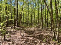 29-131 Weoka Mini-Farm 1 : Wetumpka : Elmore County : Alabama