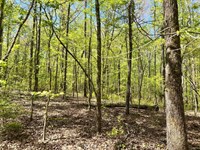 29-133 Weoka Mini-Farm 3 : Wetumpka : Elmore County : Alabama