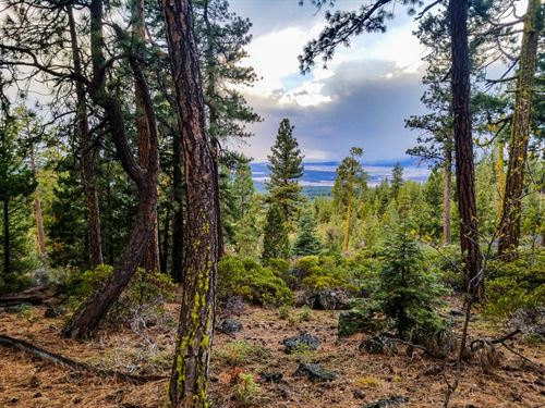 Fixer-Upper Land Deal, 17 Acres : Bonanza : Klamath County : Oregon