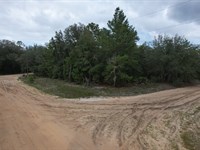 Tree-Line of Privacy for $205/Mo : Interlachen : Putnam County : Florida