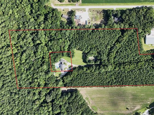 Wooded Lot in Horry County, SC : Little River : Horry County : South Carolina