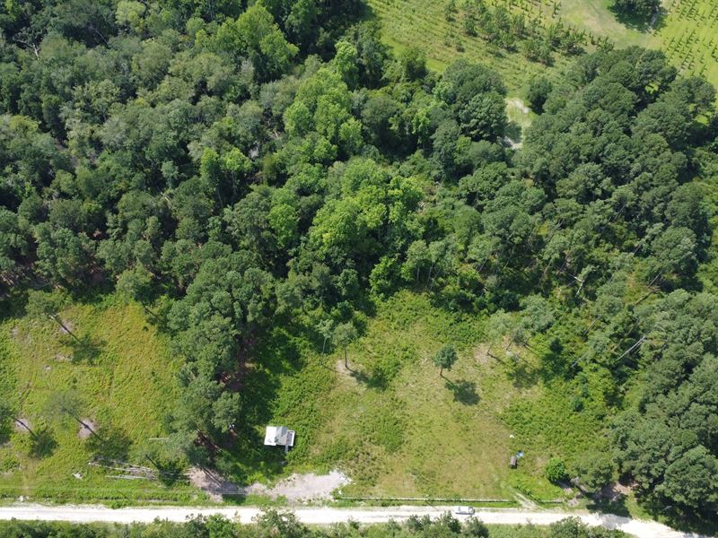 Riggs Mill Homesite : Statesboro : Bulloch County : Georgia