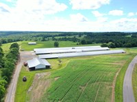 Lick Creek Broiler Farm : Falkville : Morgan County : Alabama