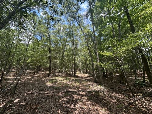 Gilbert Road Tract 2 : Talbotton : Talbot County : Georgia