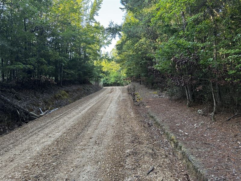 Quiet Country Retreat : McCool : Attala County : Mississippi