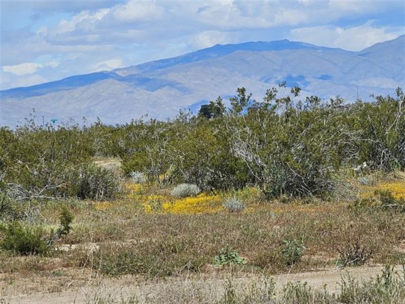 $199/ Mon Parcel in California City : California City : Kern County : California