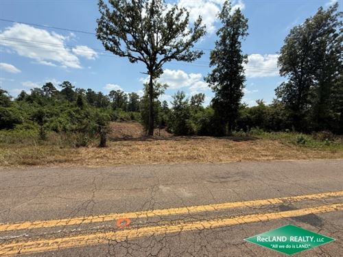 4.1 Ac Wooded Tract for Home Site : Downsville : Lincoln Parish : Louisiana