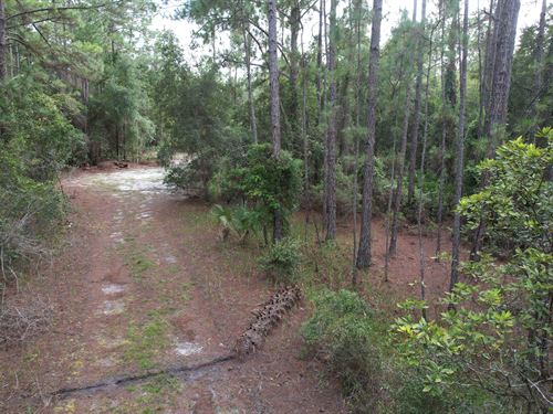 Home Sweet Home : Georgetown : Putnam County : Florida