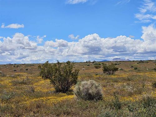 Investment in Cali At Just $3,750 : California City : Kern County : California