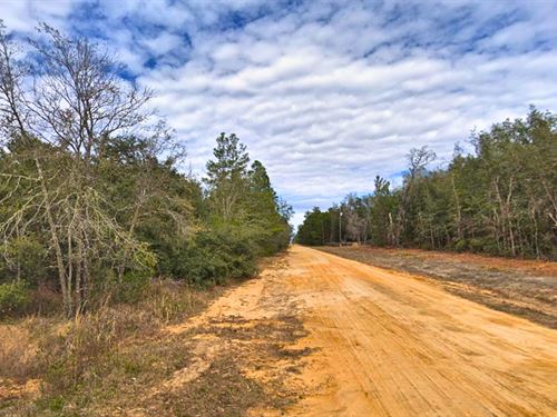 Residential Lot with Power Nearby : Interlachen : Putnam County : Florida