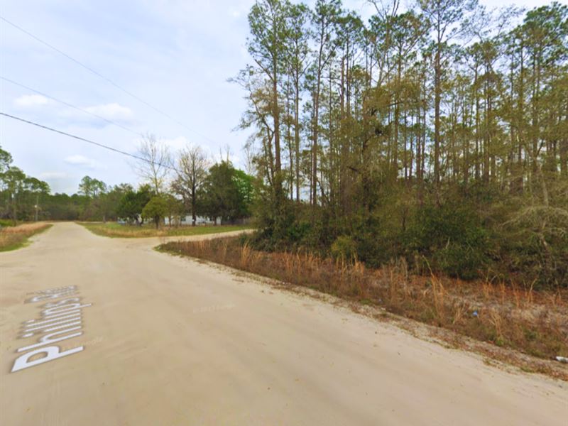 Corner Land Easy Terms : Interlachen : Putnam County : Florida