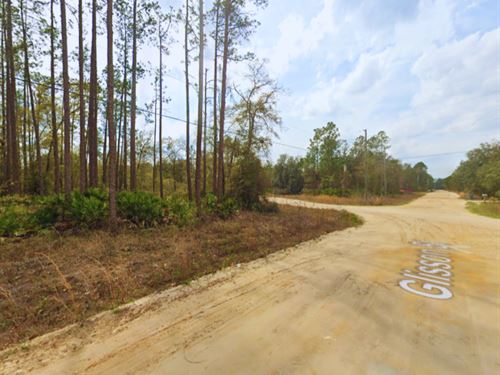 Your Retirement Lot, $175/Mo : Interlachen : Putnam County : Florida