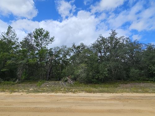 Quiet Lot Near The Lakes : Interlachen : Putnam County : Florida