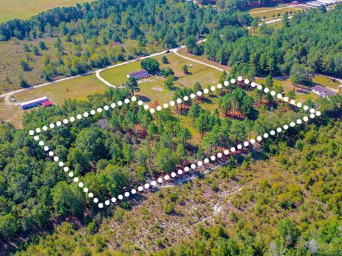 Quiet Lot Near Hamlet : Hamlet : Richmond County : North Carolina