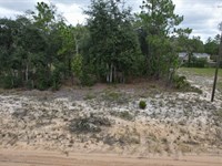 Mobile Life Made Easy, $175/Mo : Interlachen : Putnam County : Florida