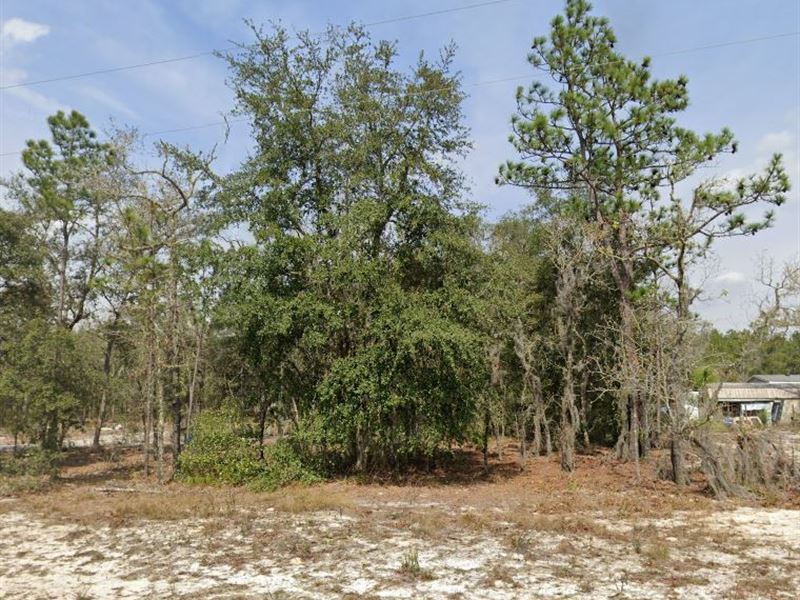 Mobile Life Made Easy, $175/Mo : Interlachen : Putnam County : Florida