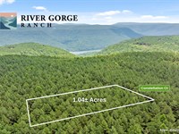 Beautiful 1+ Acre Mountain Homesite : Guild : Marion County : Tennessee