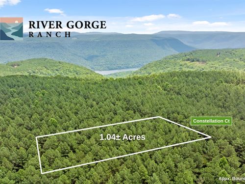 Beautiful 1+ Acre Mountain Homesite : Guild : Marion County : Tennessee