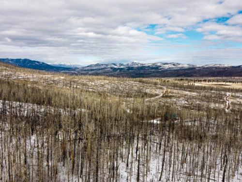 Own 2.24 Acres and Hunt Nearby : Fort Garland : Costilla County : Colorado