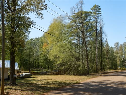 .64 Acre Vacant Lot in Brandon, MS : Brandon : Rankin County : Mississippi