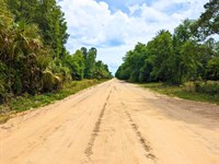 Bait Your Dream Lot Now, $175/Mo : Interlachen : Putnam County : Florida