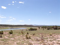 RV Lot Walkable to Concho Lake : Concho : Apache County : Arizona