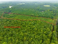 Rare Large Residential Acreage : Pittsboro : Chatham County : North Carolina