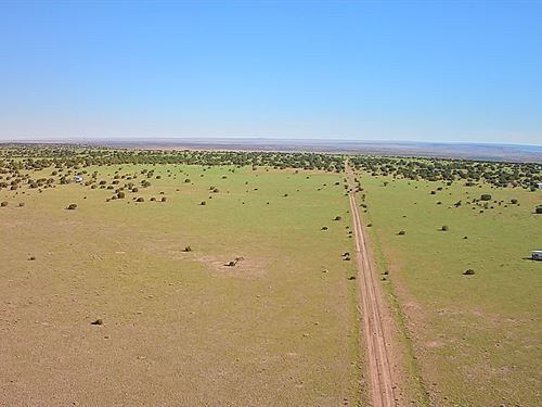 2.1 Acre Double Lot Concho Lake : Concho : Apache County : Arizona