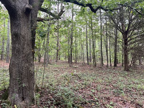 2+ Wooded Acres, Well/County Water : White : Bartow County : Georgia