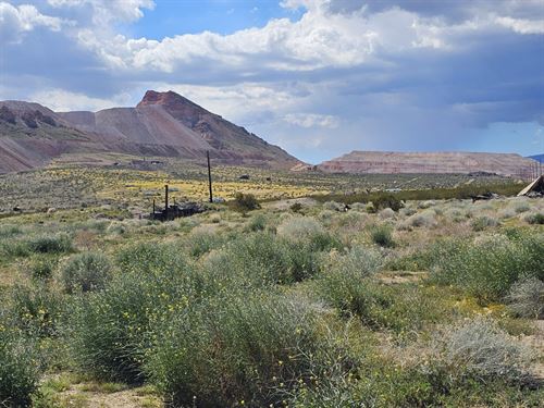 $99/ Month, California Investment : California City : Kern County : California