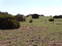 RV Pull Through, 2 AZ Lots : Concho : Apache County : Arizona