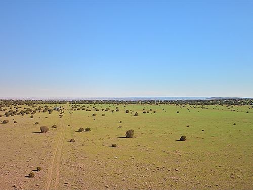 3 AZ Lots Near Concho Lake : Concho : Apache County : Arizona