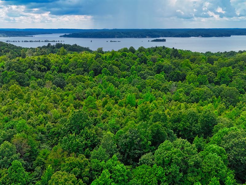Private 12.62 Acre Parcel Near Stew : Stewart : Stewart County : Tennessee