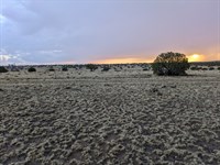 4 Adjoining AZ Lots Near Lake : Concho : Apache County : Arizona