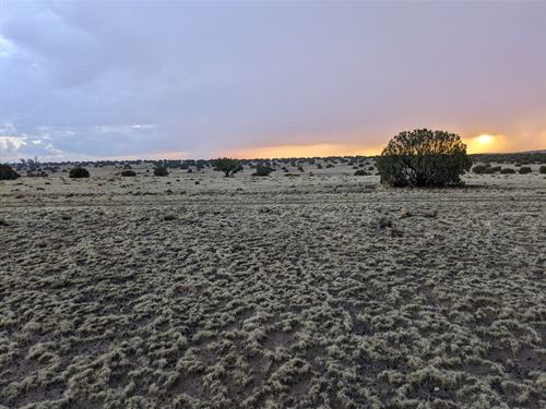 4 Adjoining AZ Lots Near Lake : Concho : Apache County : Arizona