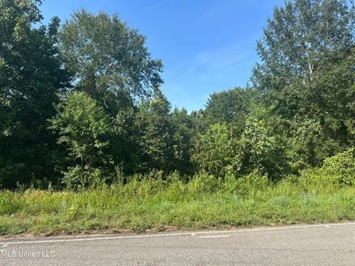 12.95 Acres, Magnolia, MS : Magnolia : Amite County : Mississippi