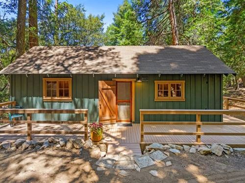 Forest Cottage : Palomar Mountain : San Diego County : California