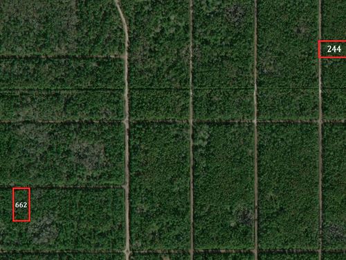 Flagler Estates, 2 Lots : Hastings : Flagler County : Florida