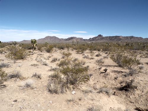Break Free From The Grid : Dolan Springs : Mohave County : Arizona