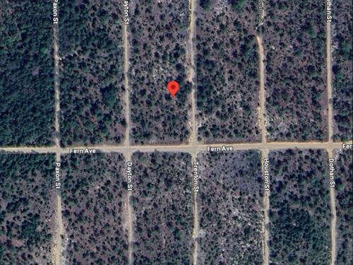 Own a Piece in Trenton Street : Interlachen : Philippines