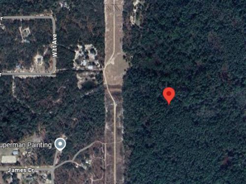 Be a Land Owner Near Witt Ave : Palatka : Putnam County : Florida