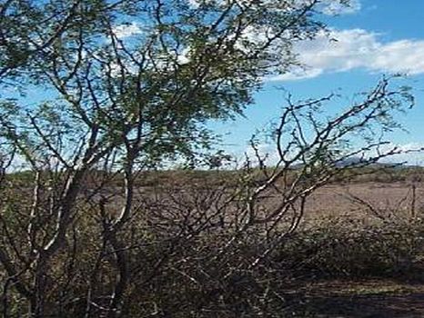 Unit 39 Block 4 Lot 3 -$4,950 : Deming : Luna County : New Mexico