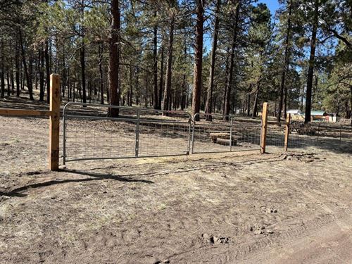 Not Just Another Lot : Bonanza : Klamath County : Oregon