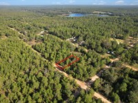 Flat Lot Near Lakes & Town : Interlachen : Putnam County : Florida