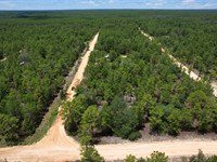 Double Lot Near Lakes & Trails : Interlachen : Putnam County : Florida