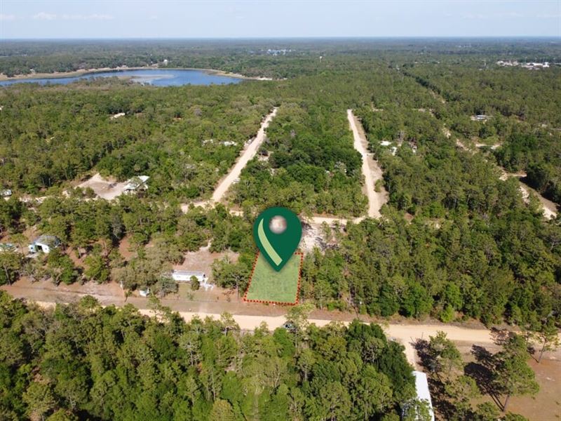 From Vision To Reality : Interlachen : Putnam County : Florida