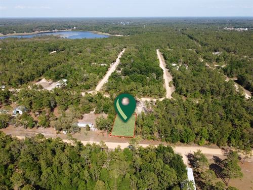 From Vision To Reality : Interlachen : Putnam County : Florida