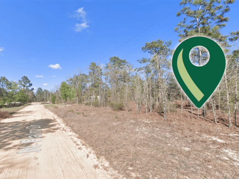 .24 Acres to Call Your Own : Interlachen : Putnam County : Florida