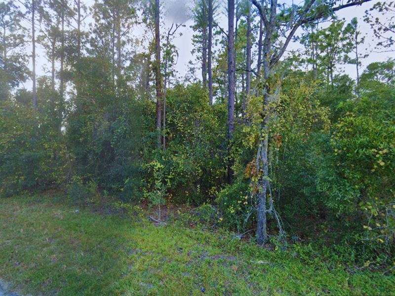Two Adjoining Lots Hawthorne FL : Hawthorne : Putnam County : Florida