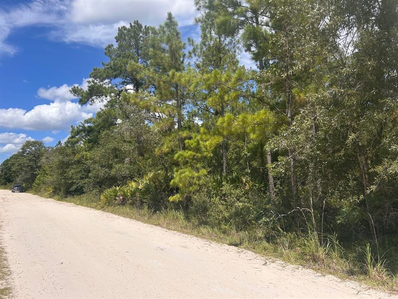 5 Acres Homesite in Clay County FL : Keystone Heights : Clay County : Florida